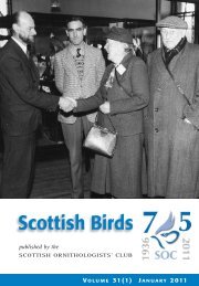 *SB 31(1) TXT aw - The Scottish Ornithologists' Club