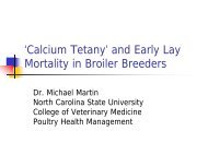 Calcium Tetany and Early Lay Mortality in Broiler Breeders