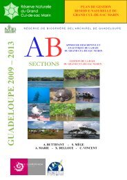 Plan de gestion GCSM - Parc national de la Guadeloupe
