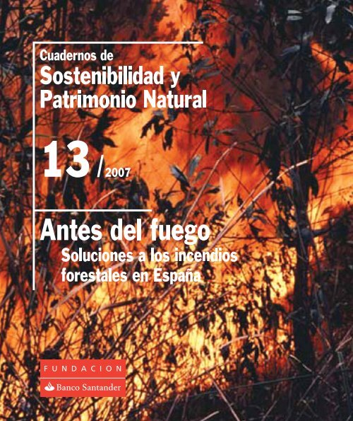 Antes del fuego. Soluciones a los incendios forestales en España