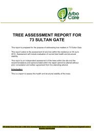 tree assessment report for 73 sultan gate - Gedung Kuning