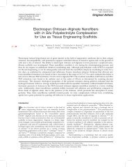 Electrospun Chitosan–Alginate Nanofibers with In Situ ...