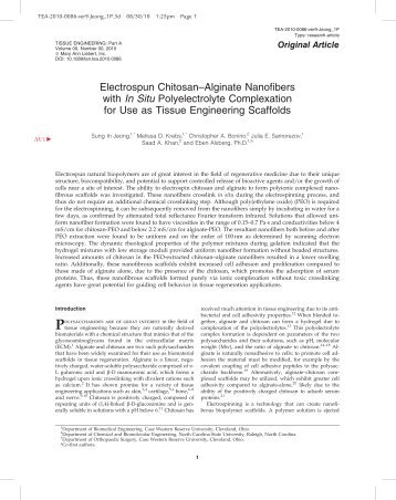 Electrospun Chitosan–Alginate Nanofibers with In Situ ...