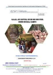 etude d'impact environnemental jmn consultant - WIJMA Cameroun