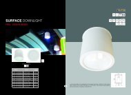 SURFACE DOWNLIGHT