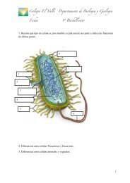 TEMA 2. Cuestiones cÃ©lula - BiologÃ­a El Valle