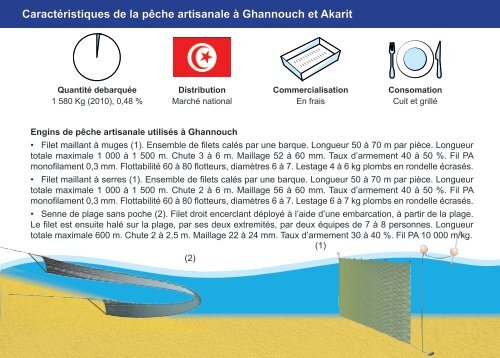 Guide des espÃ¨ces debarquÃ©es par la pÃªche ... - Faoartfimed.org