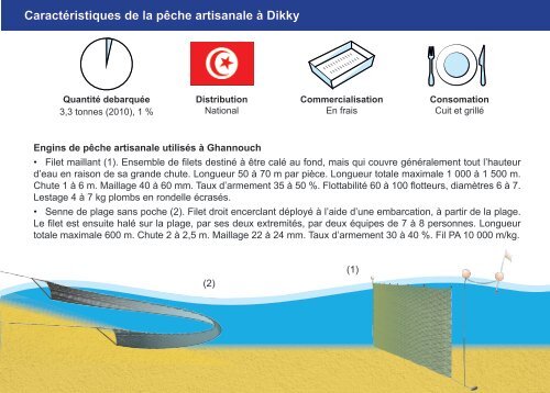 Guide des espÃ¨ces debarquÃ©es par la pÃªche ... - Faoartfimed.org