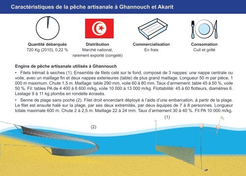 Guide des espÃ¨ces debarquÃ©es par la pÃªche ... - Faoartfimed.org