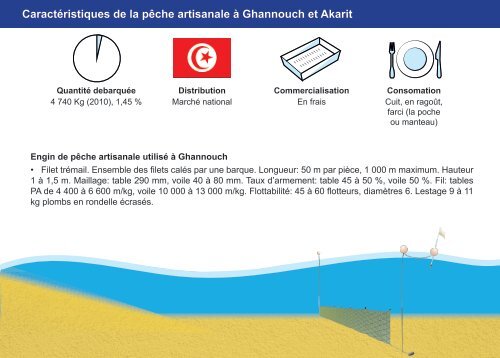 Guide des espÃ¨ces debarquÃ©es par la pÃªche ... - Faoartfimed.org