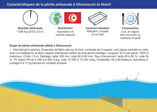 Guide des espÃ¨ces debarquÃ©es par la pÃªche ... - Faoartfimed.org