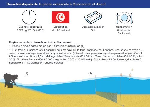 Guide des espÃ¨ces debarquÃ©es par la pÃªche ... - Faoartfimed.org