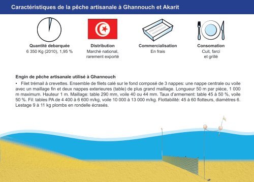 Guide des espÃ¨ces debarquÃ©es par la pÃªche ... - Faoartfimed.org