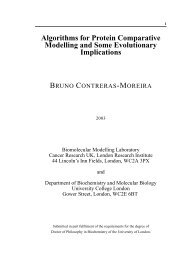 PhD thesis