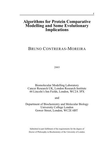 PhD thesis