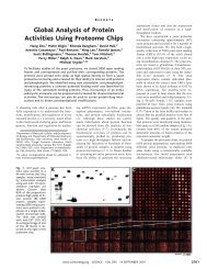 Global Analysis of Protein Activities Using Proteome Chips - People