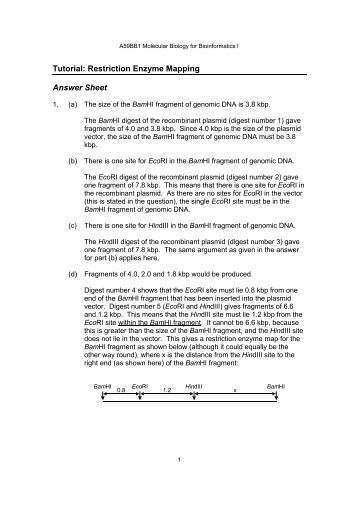 ap biology enzyme essay questions ap biology enzyme essay questions