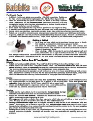 Rabbits - Worms and Germs Blog