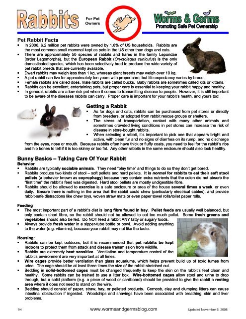 Rabbits - Worms and Germs Blog