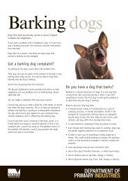 Barking Dogs - Yarriambiack Council