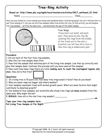 Tree-Ring Activity