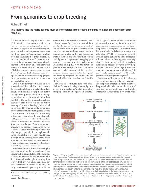 Ontology engineering