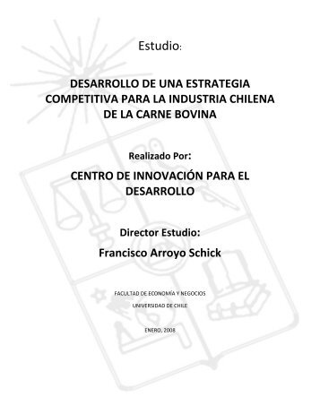 Desarrollo de una Estrategia Competitiva para la Industria ... - Fia