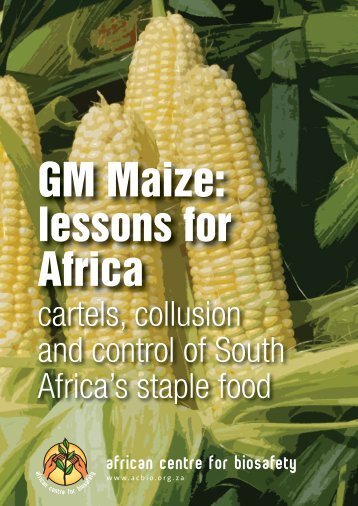 GM-Maize-Report