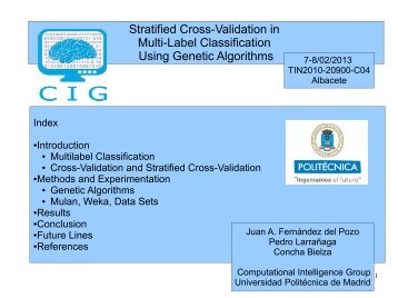 Stratified cross-validation in multi-label classification using genetic ...