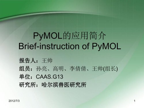 PyMOL的应用简介Brief-instruction of PyMOL - abc