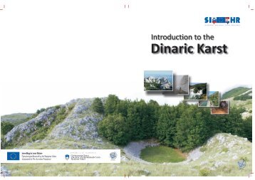 Case Studies from the Dinaric Karst of Slovenia