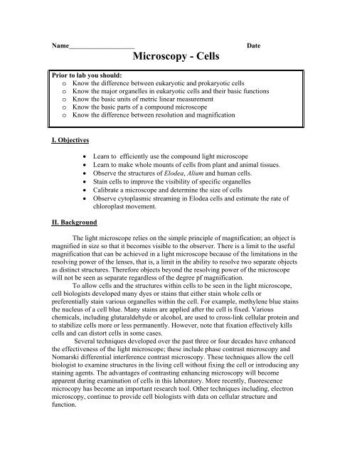 Microscopy - Cells