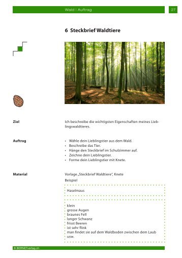 6 Steckbrief Waldtiere