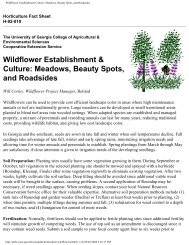 Wildflower Planting and Maintenance for Georgia - Walter Reeves