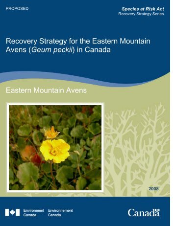 Recovery Strategy for the Eastern Mountain Avens ... - Species at Risk