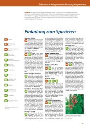 Einladung zum Spazieren - Tourismusverband Mecklenburg ...