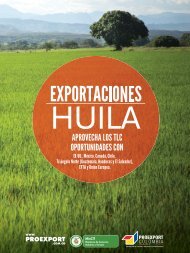 Ficha departamento Huila - Proexport Colombia