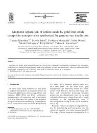 Magnetic separation of amino acids by gold/iron-oxide composite ...