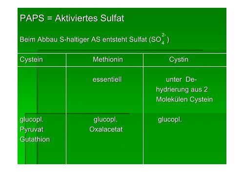 PAPS = Aktiviertes Sulfat