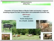 Evaluation of Current Status of Busha Cattle and develop a regional ...