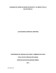 consumo de carne de equino en bogota y su impacto en la salud ...