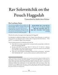 Rav Soloveitchik on the Pesach Haggadah