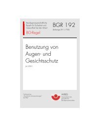 BGR 192 Augenschutz