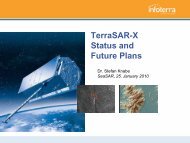 Terrasar-X Status and Future Plans