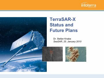 Terrasar-X Status and Future Plans