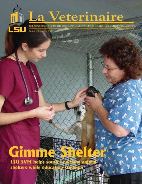 Gimme Shelter - School of Veterinary Medicine - Louisiana State ...