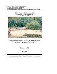 Report 10 Hydrogeology of Deep Aquifers in the Western Desert ...