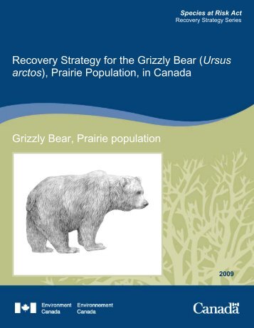 Grizzly Bear (Ursus arctos), Prairie Population - Publications  du ...