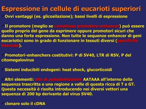 Produzione e purificazione delle proteine