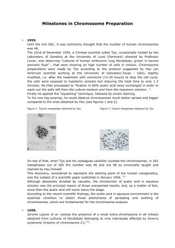 Milestones in Chromosome preparation-DEF X WEB - Euroclone